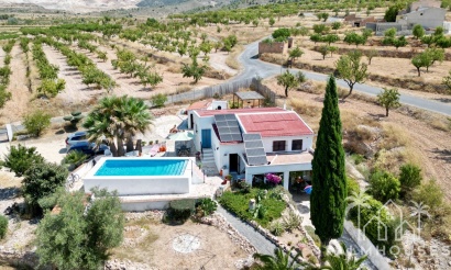 Venta - Comercial - Algueña