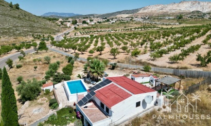 Venta - Comercial - Algueña