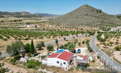 Venta - Comercial - Algueña