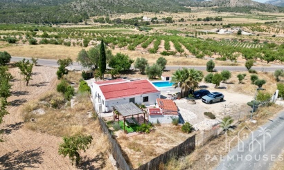 Venta - Comercial - Algueña