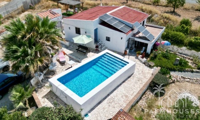 Venta - Comercial - Algueña