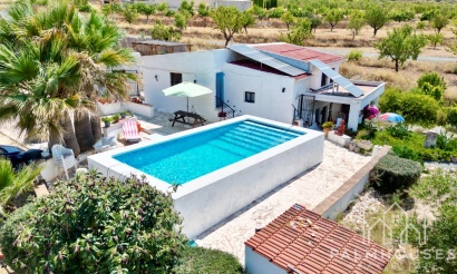 Venta - Comercial - Algueña