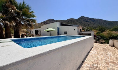 Venta - Comercial - Algueña