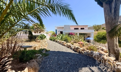 Venta - Comercial - Algueña