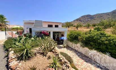 Venta - Comercial - Algueña