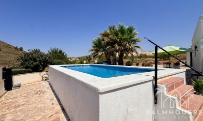 Venta - Comercial - Algueña