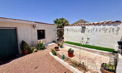Venta - Comercial - Algueña
