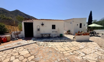 Venta - Comercial - Algueña