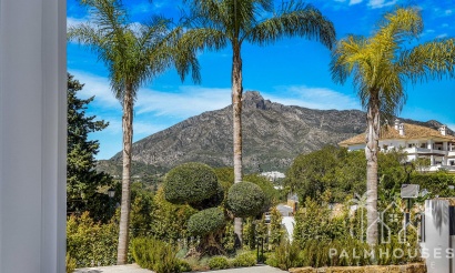 Nieuwbouw - Villa - Marbella