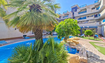Herverkoop - Appartement - Orihuela Costa - Costa Blanca