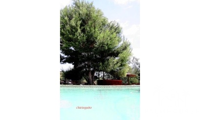 Revente - Villa - Murcia - Inland