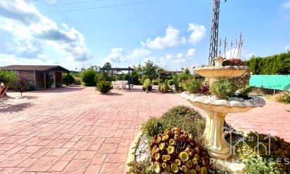 Revente - Villa - Catral - Costa Blanca