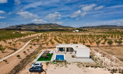 Herverkoop - Villa - Pinoso - Inland