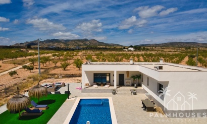 Herverkoop - Villa - Pinoso - Inland
