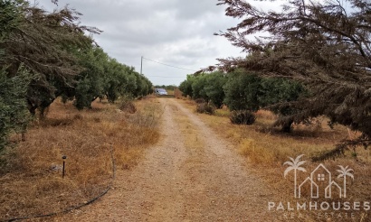 Herverkoop - Finca - Cartagena - La Magdalena