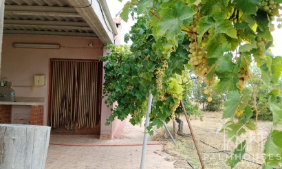 Herverkoop - Finca - Cartagena - La Magdalena