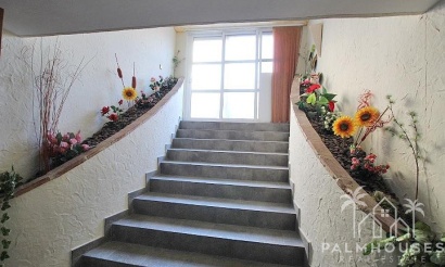 Herverkoop - Villa - Formentera del Segura - C- Cooperativa
