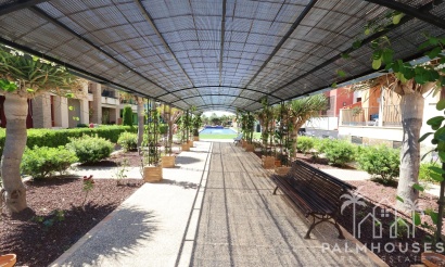 Herverkoop - Appartement - Orihuela Costa - Costa Blanca