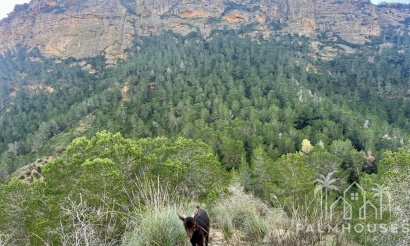 Herverkoop - Finca - Gea Y Truyols - Sierra de Columbares Natural Park