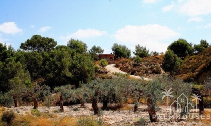 Herverkoop - Finca - Gea Y Truyols - Sierra de Columbares Natural Park