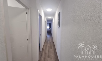 Herverkoop - Appartement - Torrevieja - Estacion de autobuses