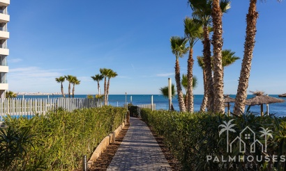 Revente - Apartment - Torrevieja - Costa Blanca