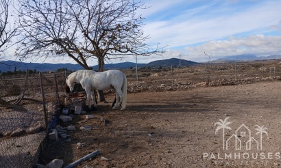Venta - Finca - Monóvar/Monóver - Inland