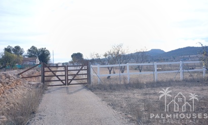 Venta - Finca - Monóvar/Monóver - Inland