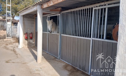 Venta - Finca - Monóvar/Monóver - Inland