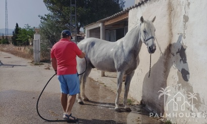 Venta - Finca - Monóvar/Monóver - Inland