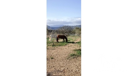 Venta - Finca - Monóvar/Monóver - Inland