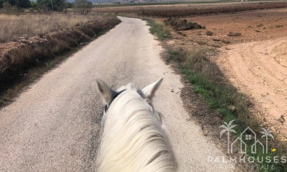 Venta - Finca - Monóvar/Monóver - Inland