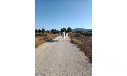 Venta - Finca - Monóvar/Monóver - Inland