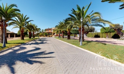 Herverkoop - Villa - Elche - Costa Blanca