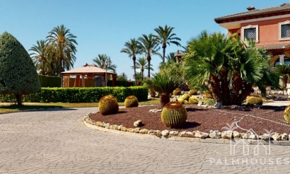 Herverkoop - Villa - Elche - Costa Blanca