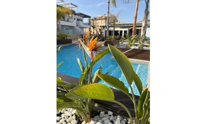 Revente - Apartment - Orihuela Costa - Rocio Del Mar