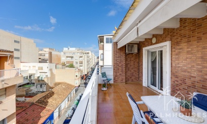 Revente - Apartment - Torrevieja - Paseo maritimo