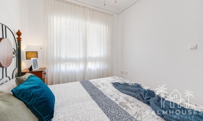 Revente - Apartment - Torrevieja - Paseo maritimo