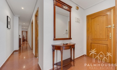 Revente - Apartment - Torrevieja - Paseo maritimo