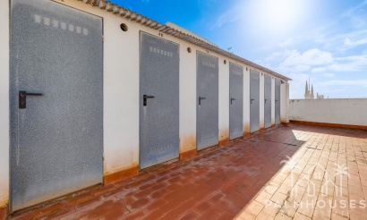 Revente - Apartment - Torrevieja - Paseo maritimo