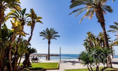 Revente - Apartment - Torrevieja - Paseo maritimo