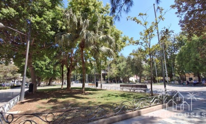 Revente - Apartment - Orihuela - Zona Centro