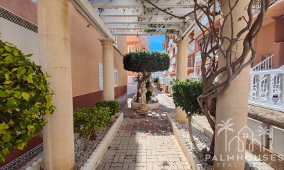 Revente - Apartment - Torrevieja - Costa Blanca