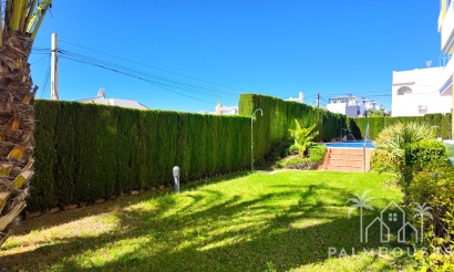 Herverkoop - Appartement - Orihuela Costa - Costa Blanca
