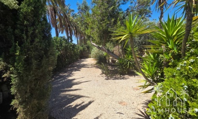 Herverkoop - Villa - Elche - Costa Blanca