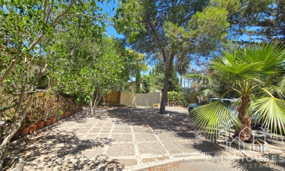 Herverkoop - Villa - Elche - Costa Blanca