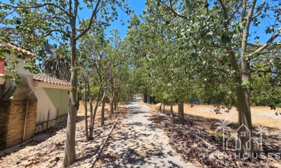 Herverkoop - Villa - Elche - Costa Blanca