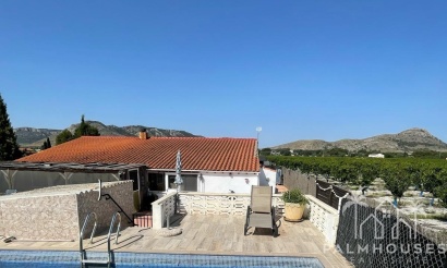 Venta - Villa - Villena - Inland