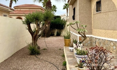 Revente - Villa - Benijofar - Costa Blanca