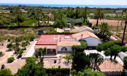 Revente - Finca - La Marina - Costa Blanca
